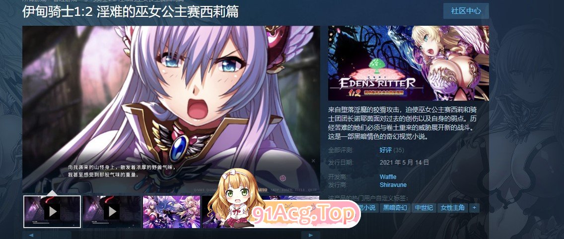伊甸骑士1:2 淫难的巫女公主赛西莉篇 官方中文版 PC端 官中完整版 预览图