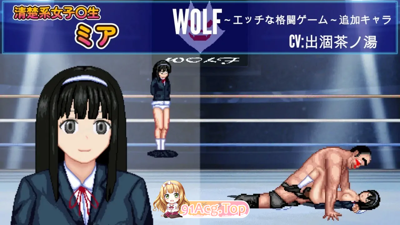 WOLF~色色的升级型格斗游戏~～「姐妹系列」套装发售 PC端 官中版 预览图