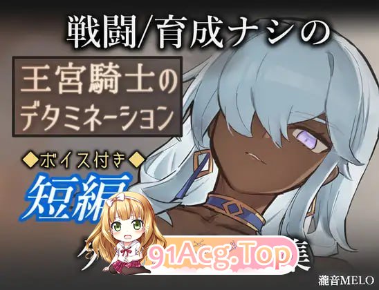 王宫骑士的决心/王宮騎士のデタミネーション PC端 AI汉化版 预览图