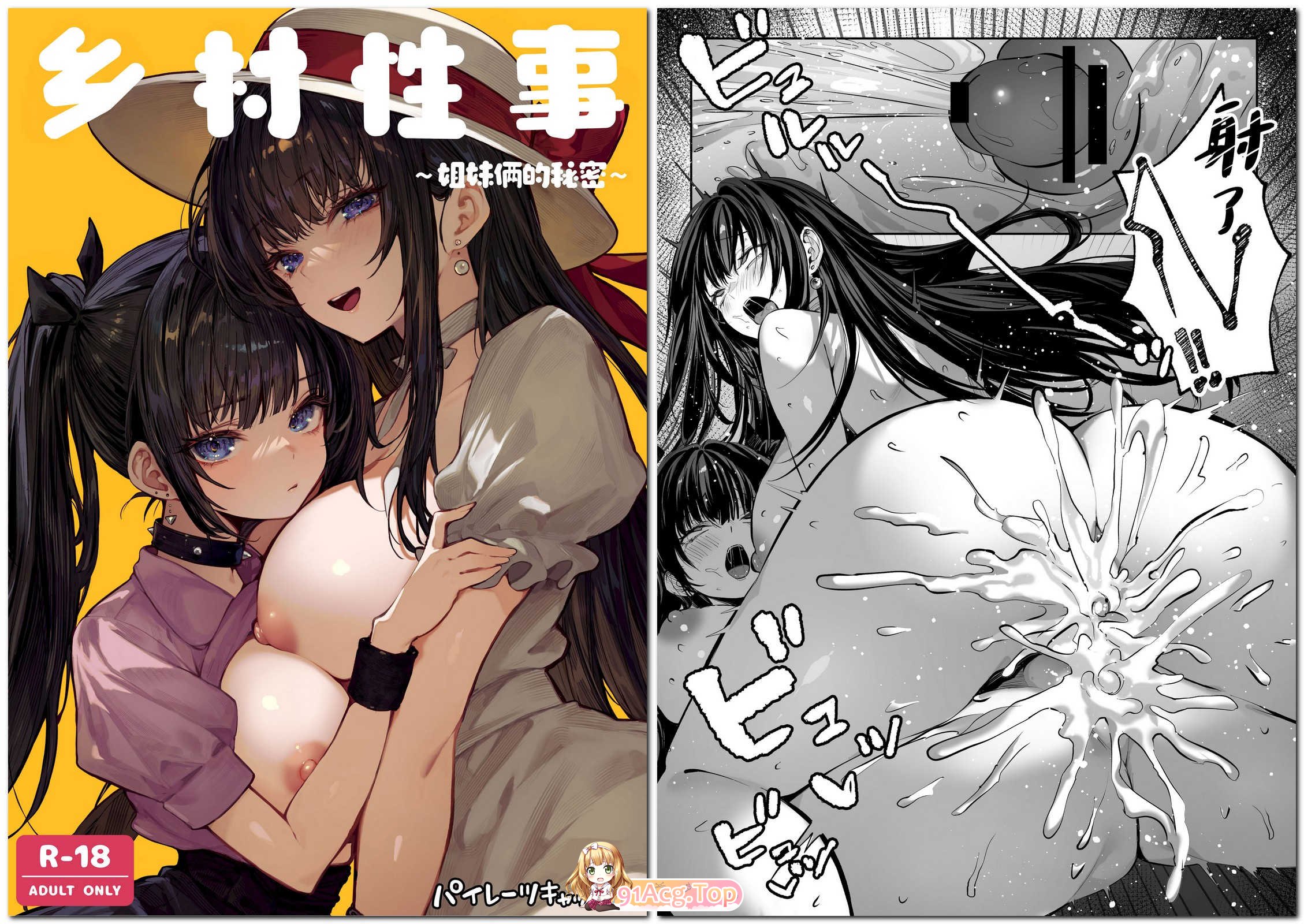 パイレーツキャット 乡村奇妙故事~姐妹俩的秘密 漫画图集 预览图