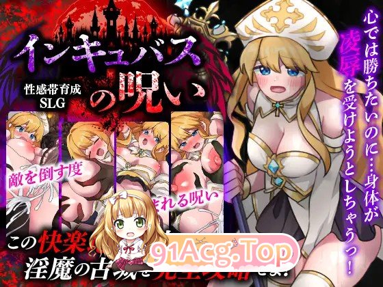 敏感带培育SLG 梦魔的诅咒 性感帯育成SLG インキュバスの呪い PC端 AI汉化更新版 预览图