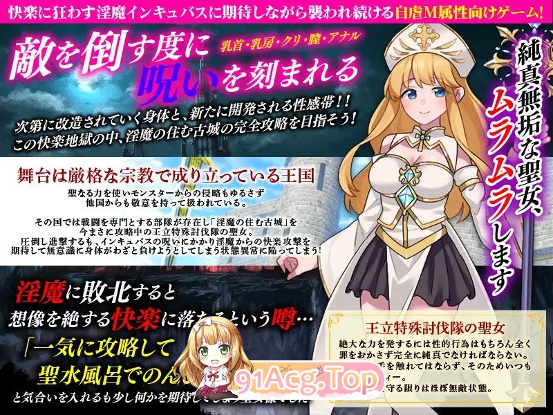 敏感带培育SLG 梦魔的诅咒 性感帯育成SLG インキュバスの呪い PC端 AI汉化更新版 预览图