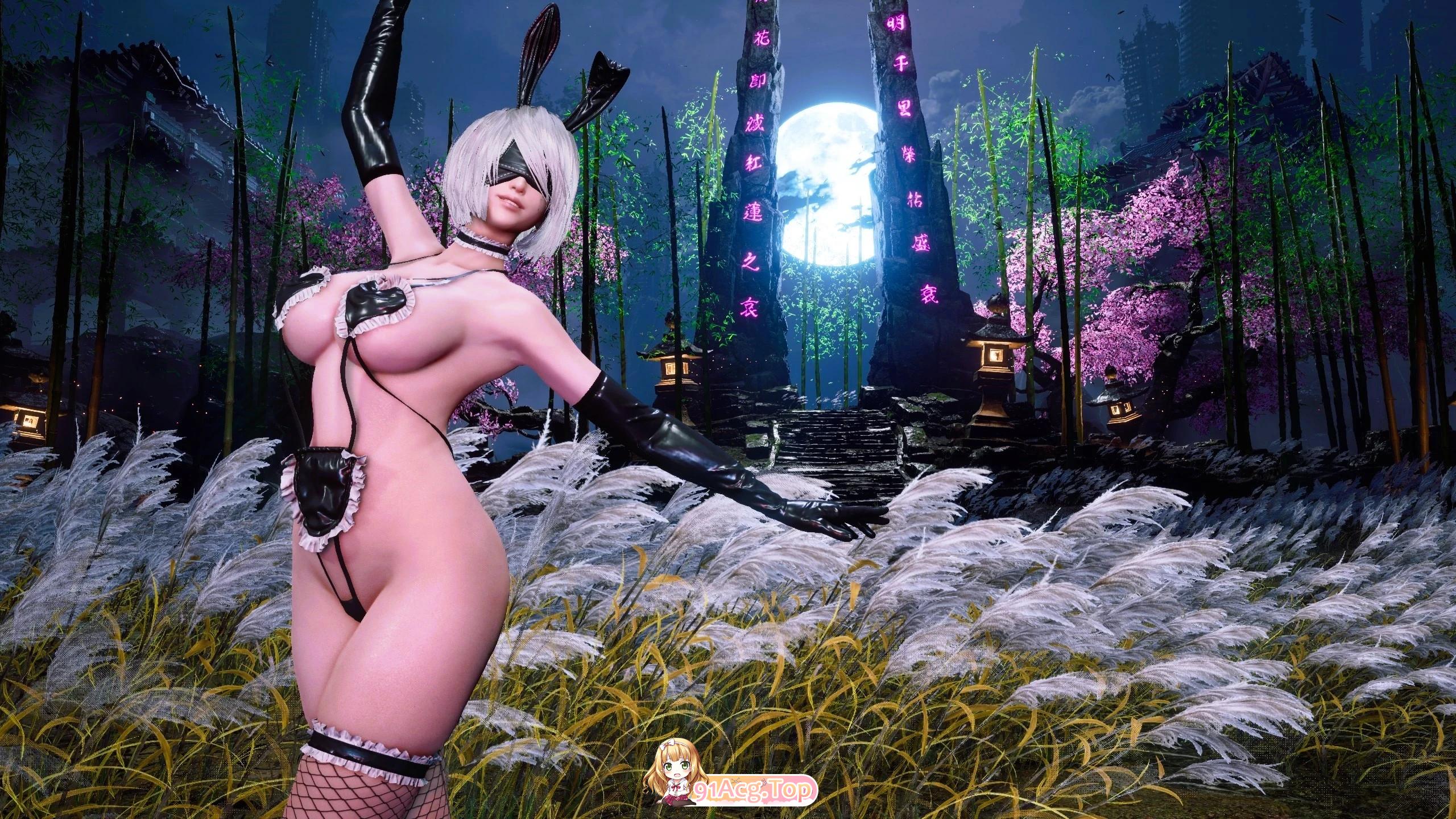 剑星 Ver1.41 完美破解中文版 非虚拟机 +绅士MOD整合包 清凉服装&功能M PC端 官中版 预览图