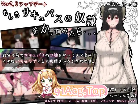 ADV [ADV/2D/汉化/日式]如果买了一个魅魔奴仆的话……もしもサキュバスの奴○をかってみたら・・・ 安卓端 汉化更新版 预览图