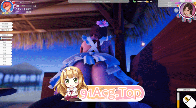 夏日海滩 Summer Beach V1.10 双端 预览图