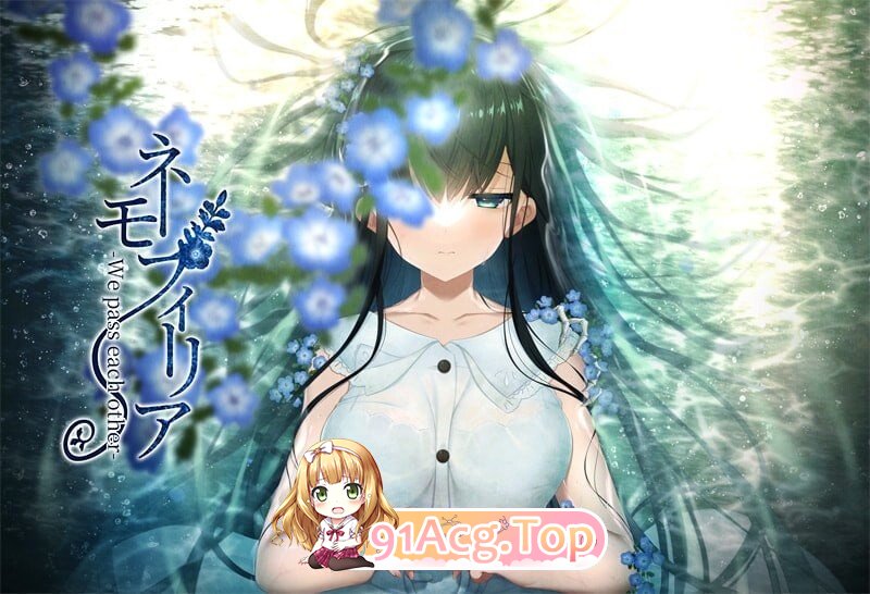 喜林草-我们擦肩而过-ネモフィリア-We pass each other - v1.30 PC端 汉化版 预览图