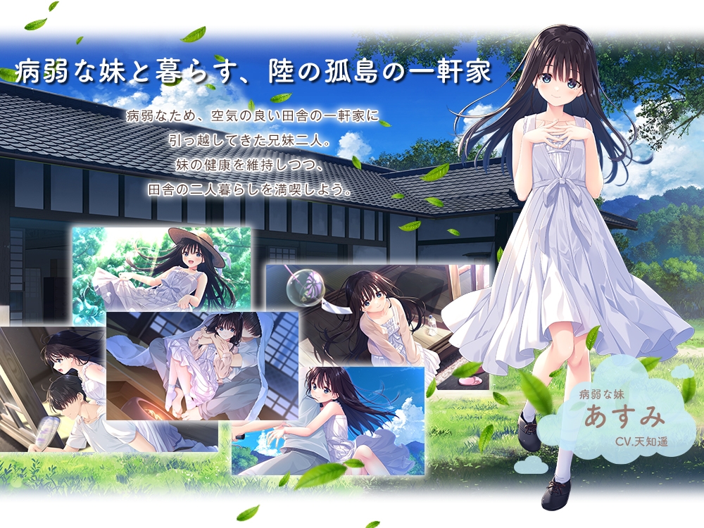 痴情哥哥与病弱妹妹的乡间生活/エッチで一途なド田舎兄さまと、古式ゆかしい病弱妹 PC端 官中版 预览图