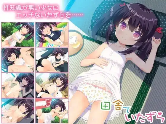 ADV类型/AI汉化】乡下的恶作剧.v1.0.0 【文件说明】：无广纯净版 预览图