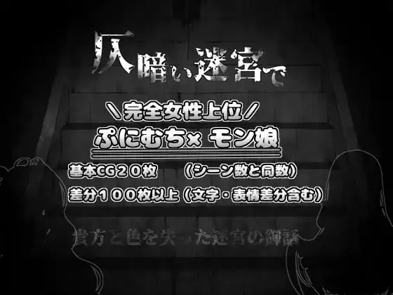 在昏暗的迷宫中1.2 双端 AI汉化版 预览图