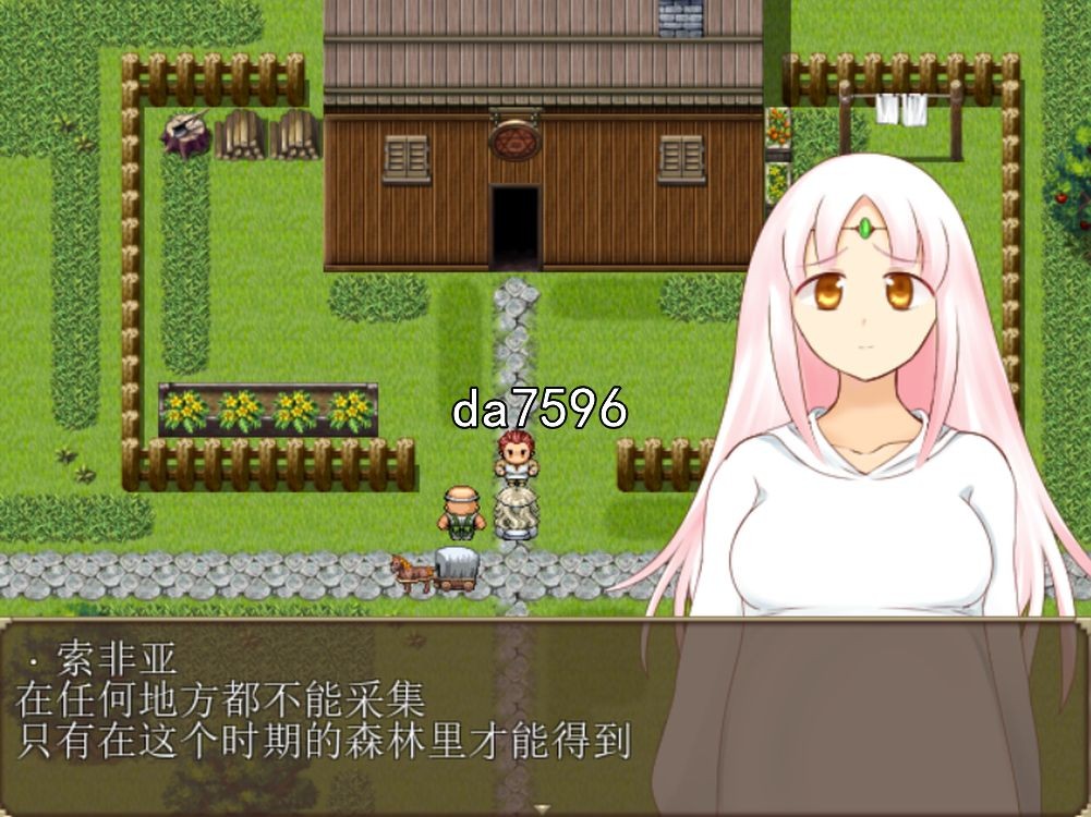 妖精奇迹般的幻想 汉化完结版 PC端 汉化版 预览图