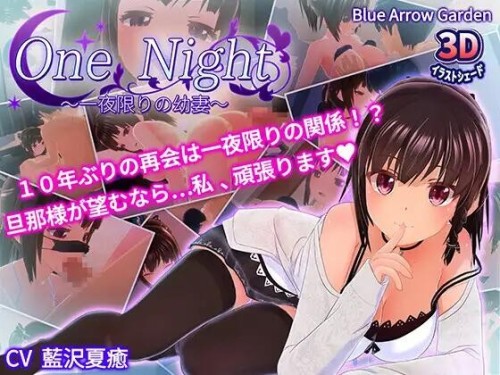 One Night~仅限一夜的年少伴侣~One Night～一夜限りの年少伴侣～ PC端 官中版 预览图