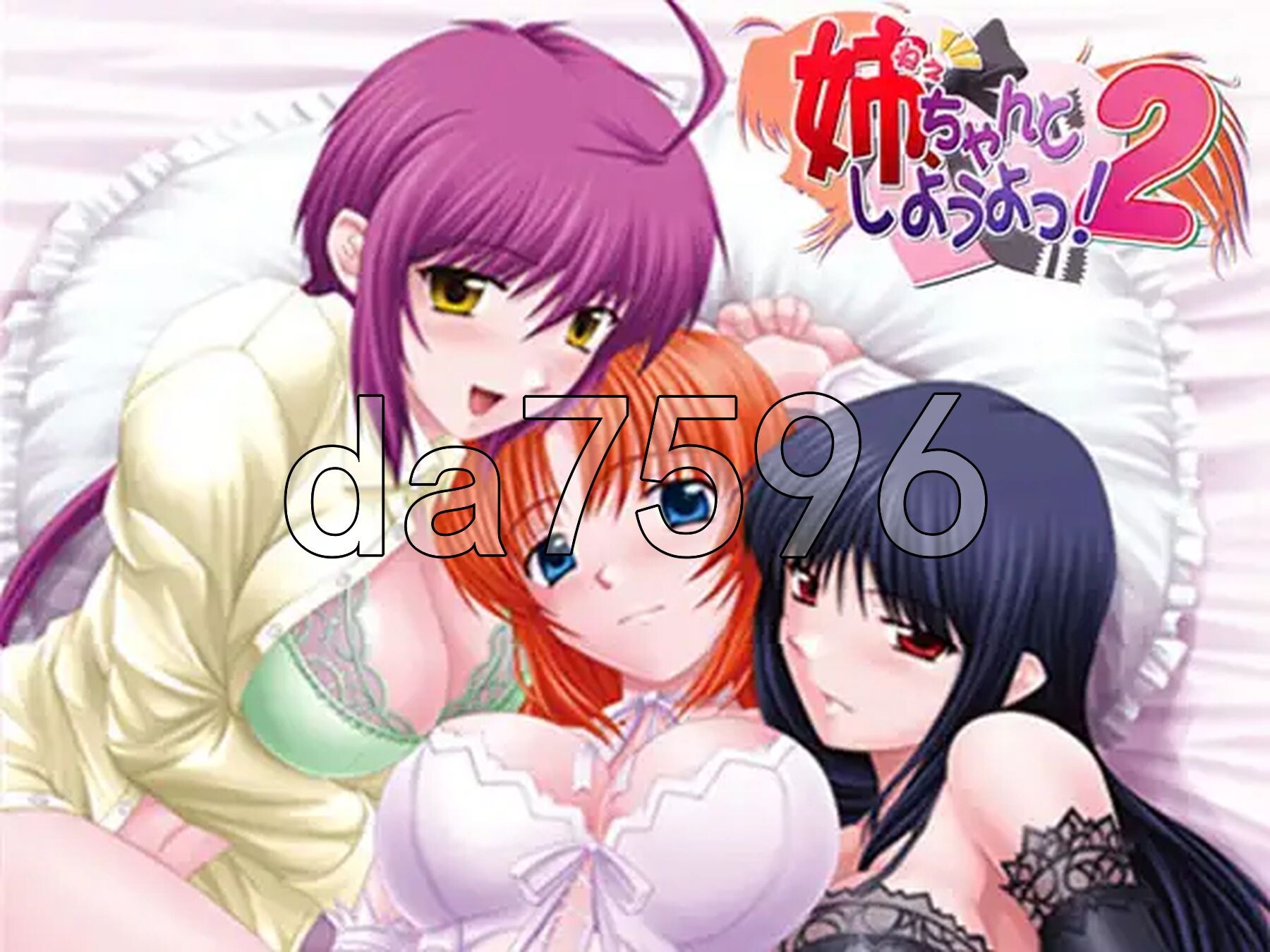 姐姐，拜托你认真一点！2 姉、ちゃんとしようよっ！ PC端 AI汉化完整版 预览图
