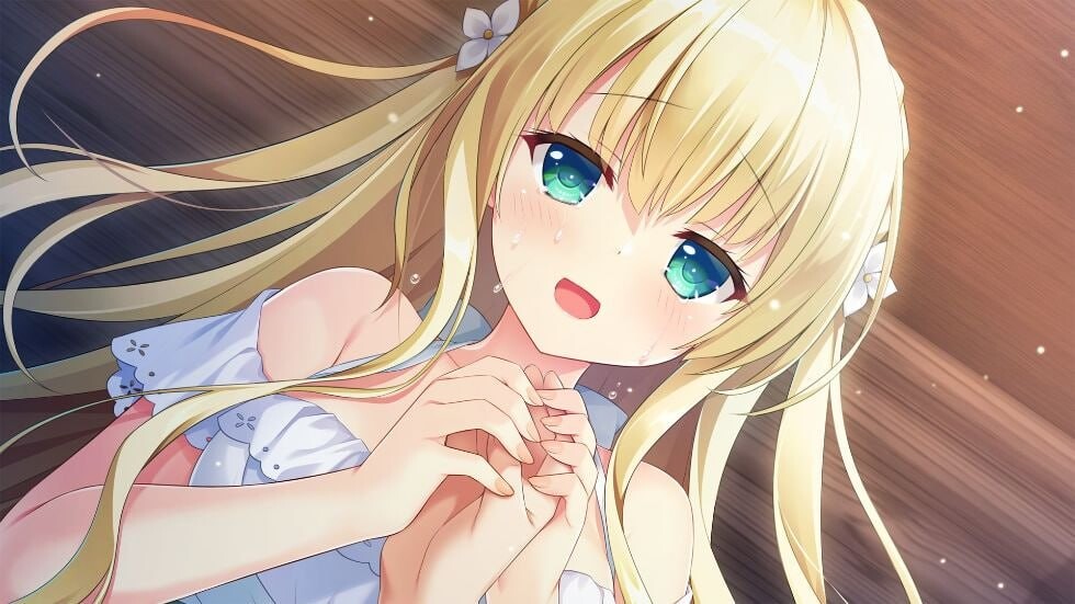 梦幻的提尔纳诺 夢幻のティル・ナ・ノーグ 精翻汉化版 PC端 汉化完整版 预览图