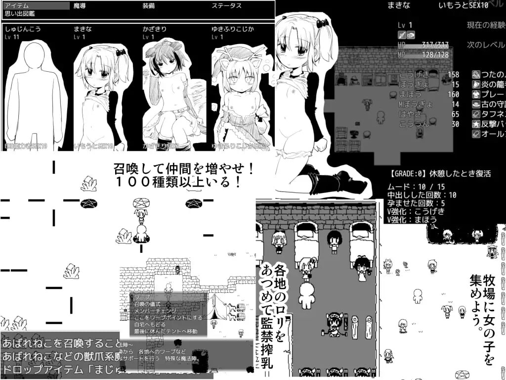 命中注定的召唤术 ヴィルネーメレト PC端 汉化版 预览图