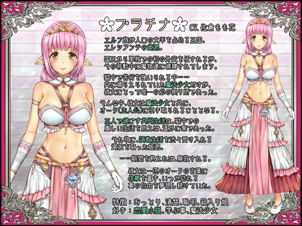 少女異種間獄 ～魔法少女&エルフ姫、オークと過ごす異世界性活～AI汉化版 PC端 预览图