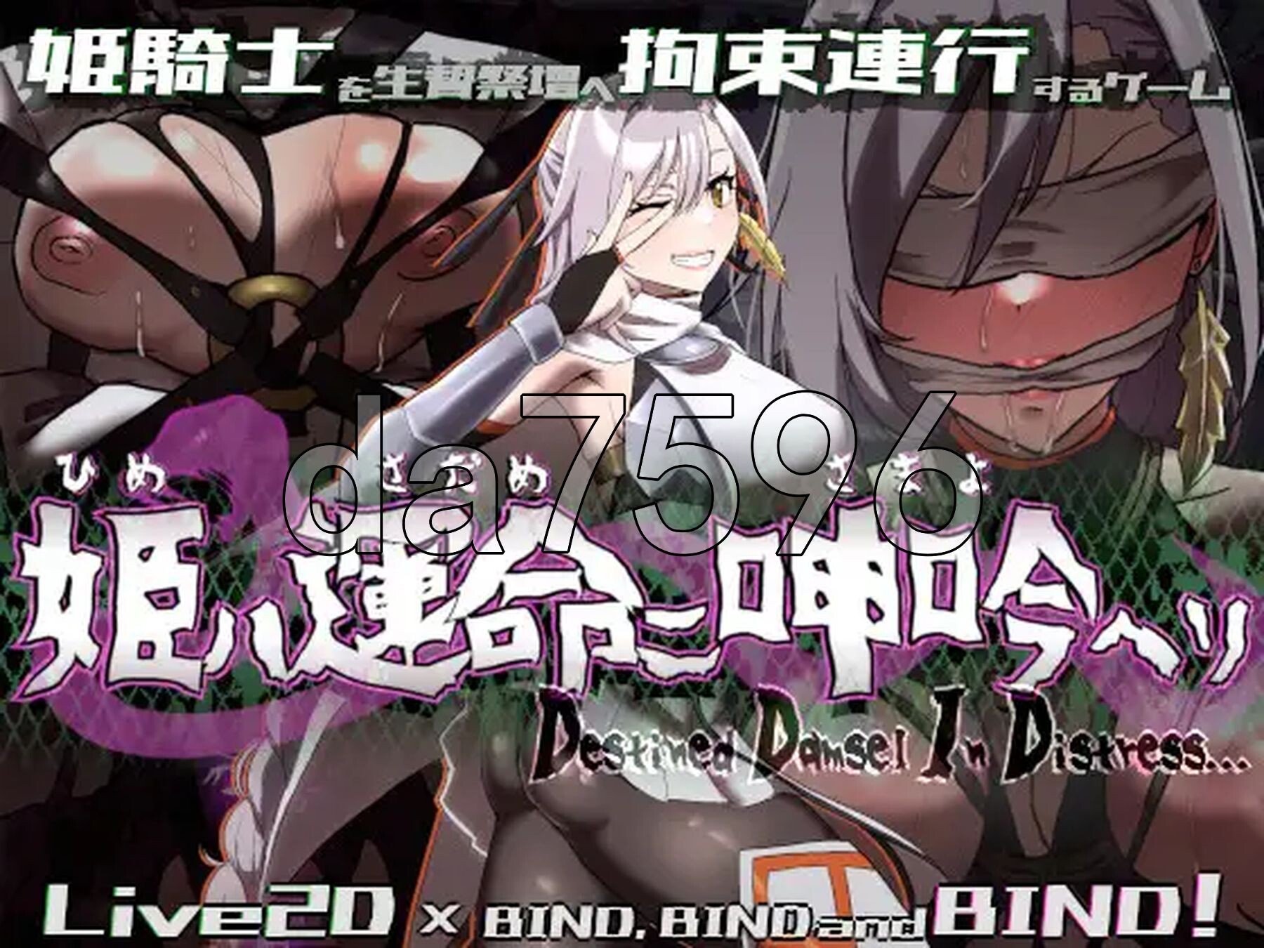 姬在命运中声音表达 姫ハ運命ニ声音表达ヘリ Destined Damsel In Distress 生肉版 PC端 日文原更新版 预览图