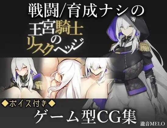 王宫骑士的风险对冲 王宮騎士のリスクヘッジ PC端 AI汉化更新版 预览图