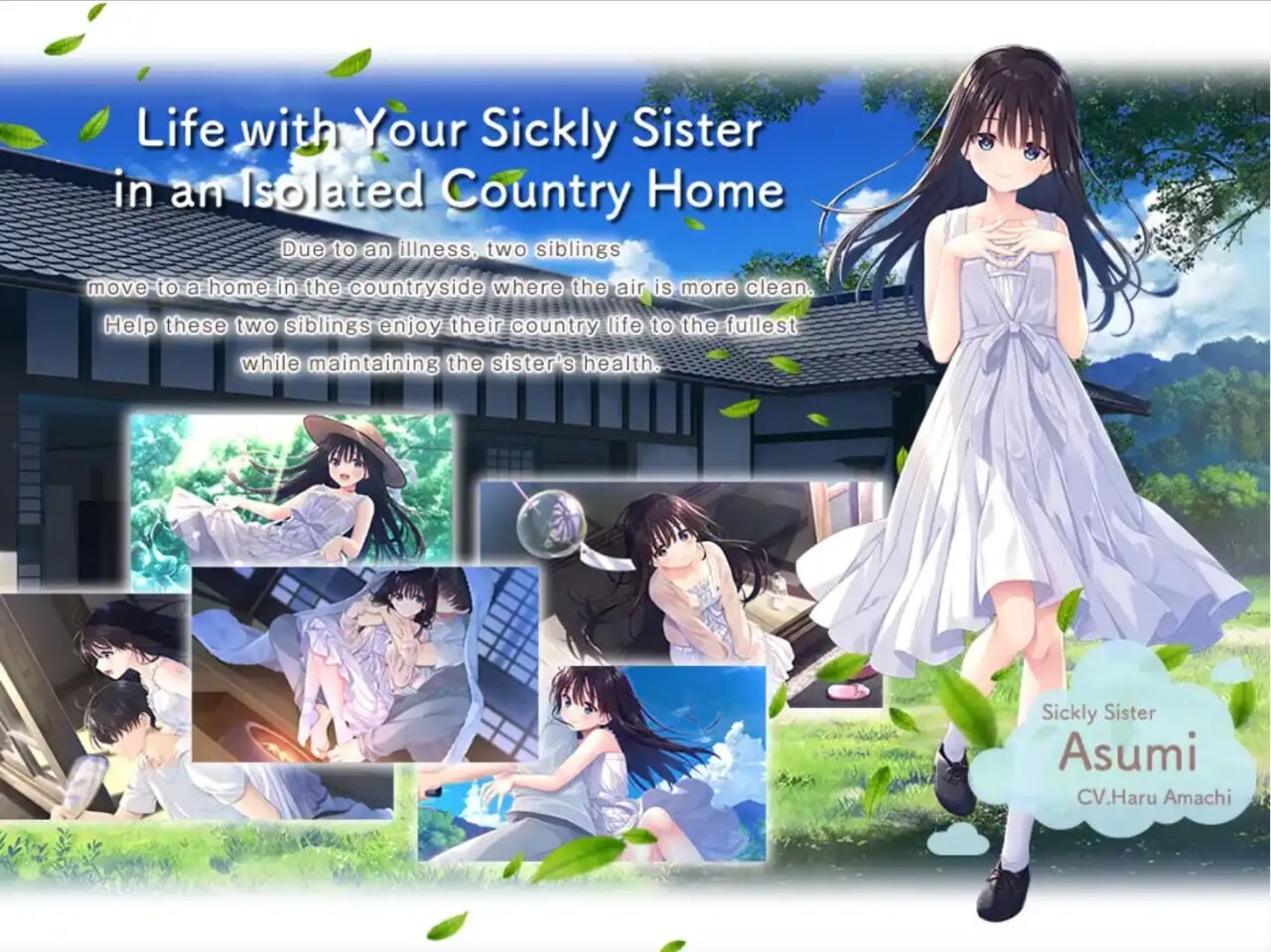 痴情哥哥与病弱妹妹的乡间生活 +Append.01 PC端 官中更新版 预览图