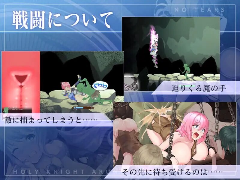 圣骑士阿恩与魔孕咒印Another No Tears PC端 预览图