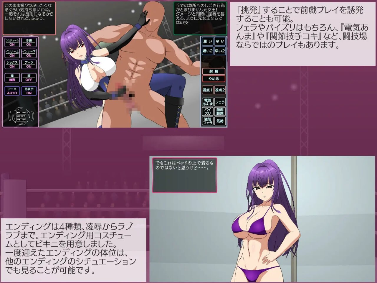 斗技女王维奥拉 闘技女王ヴァイオラ PC端 汉化版高清版 预览图