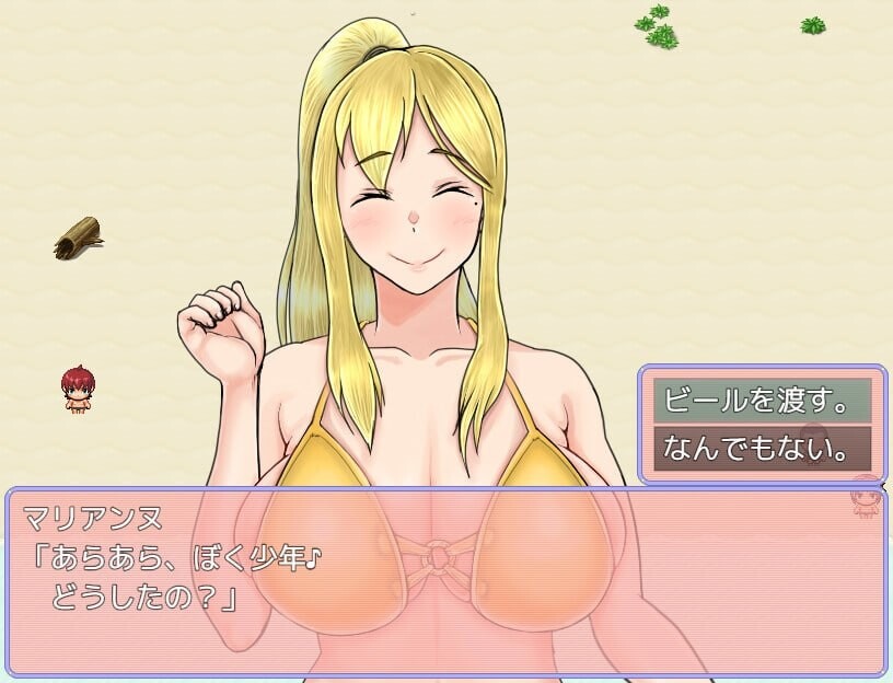 しゅきしゅき!パラディアン教会シスターズ of summer beach side PC端 汉化版 预览图