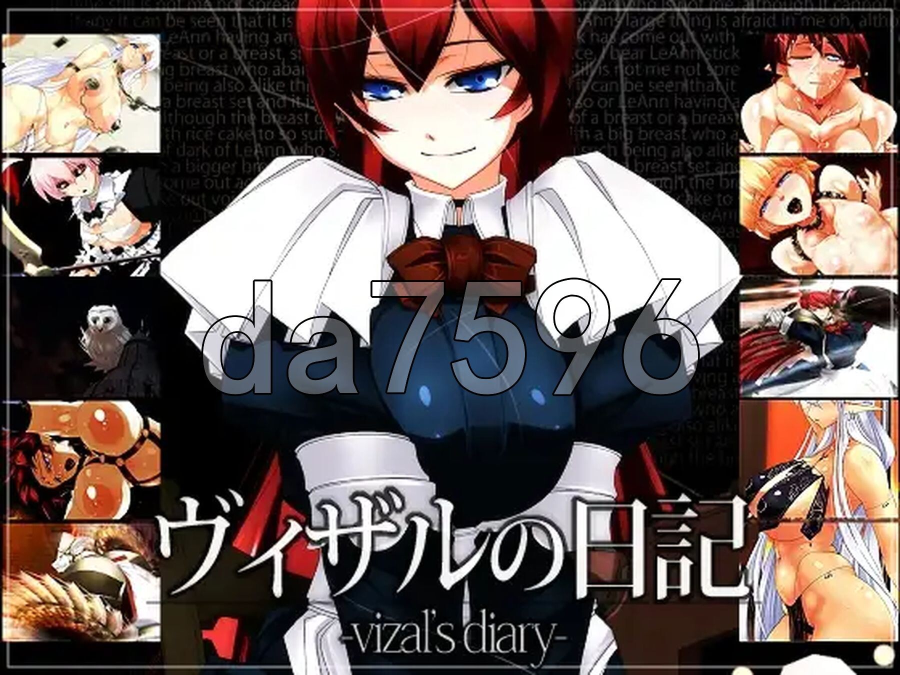 薇莎露的日记 ヴィザルの日記 PC端 汉化完整版 预览图