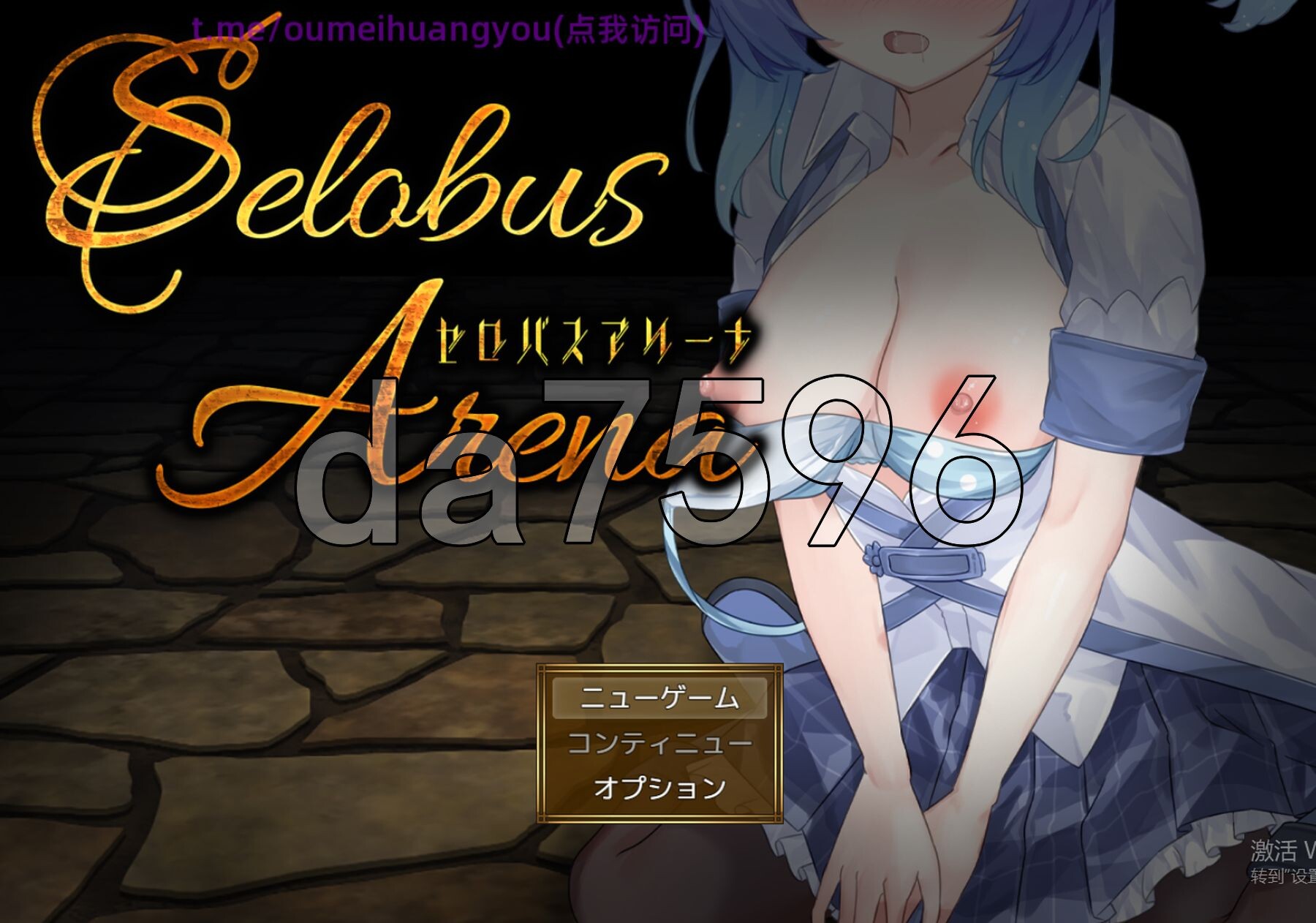 赛洛布斯竞技场 SelobusArena PC端 AI汉化更新版 预览图