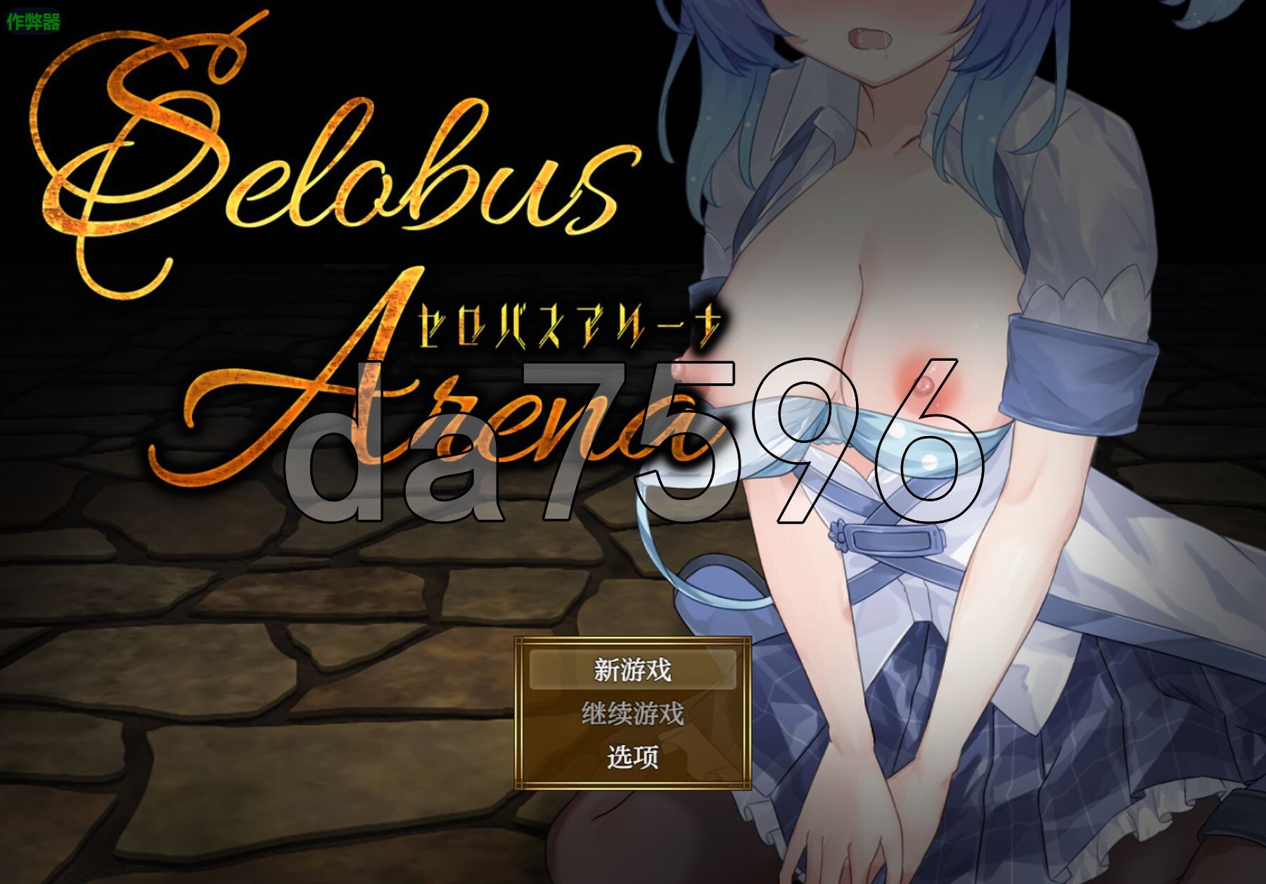 赛洛布斯竞技场 SelobusArena 双端 AI汉化版 预览图