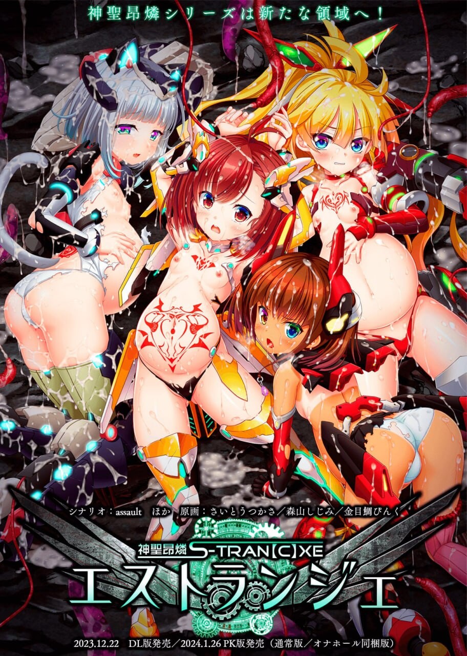 神聖昂燐·魑鬽融芯 神聖昂燐エストランジェ PC端 汉化完整版 预览图