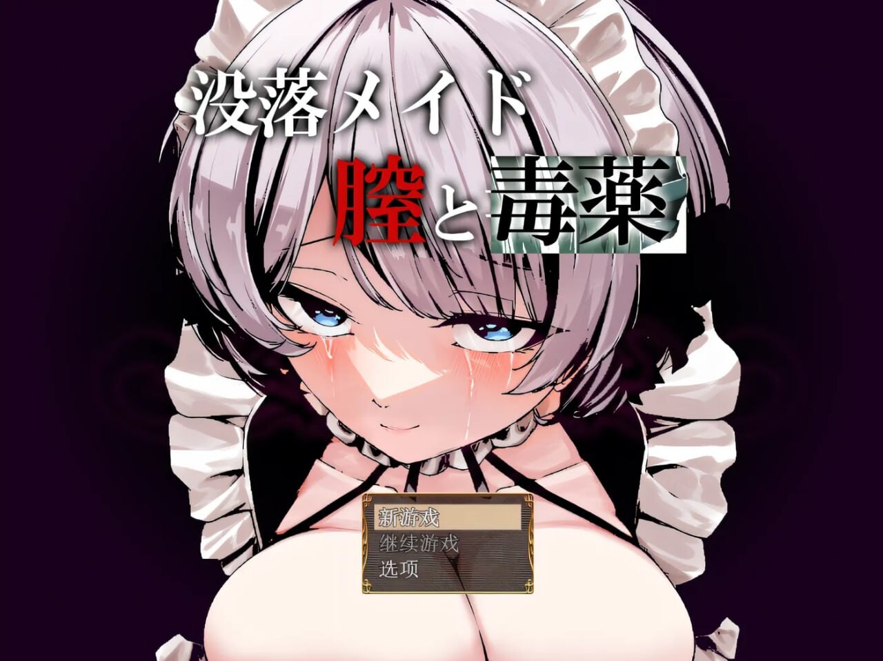 堕落女仆女性特征与毒药 安卓端 汉化版 预览图