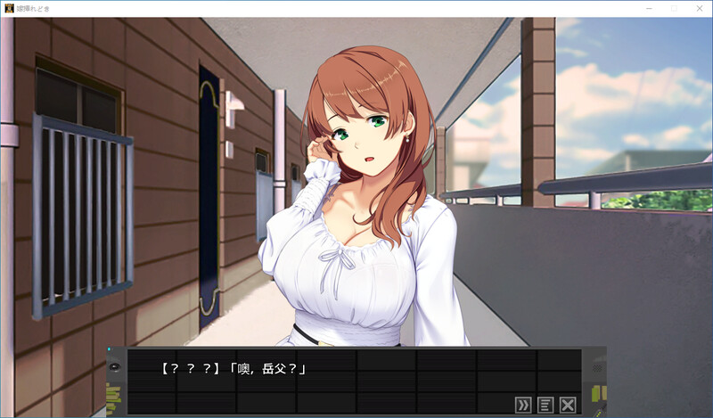 嫁挿れ時 Remake-DL官中 PC端 官中版 预览图