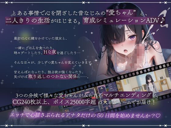 孤独少女との50日間 PC端 日文原版 预览图