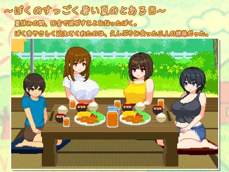 我和夏天的姐姐们 ぼくと夏のおねえちゃん達 PC端 汉化版 预览图