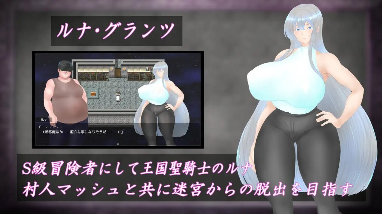 白银圣骑士 露娜·格兰茨 白銀の聖騎士ルナ・グランツ PC端 汉化版 预览图