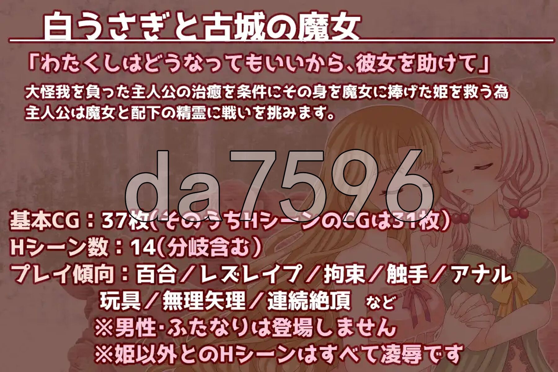 白兔与古城魔女 白うさぎと古城の魔女 PC端 AI汉化版 预览图