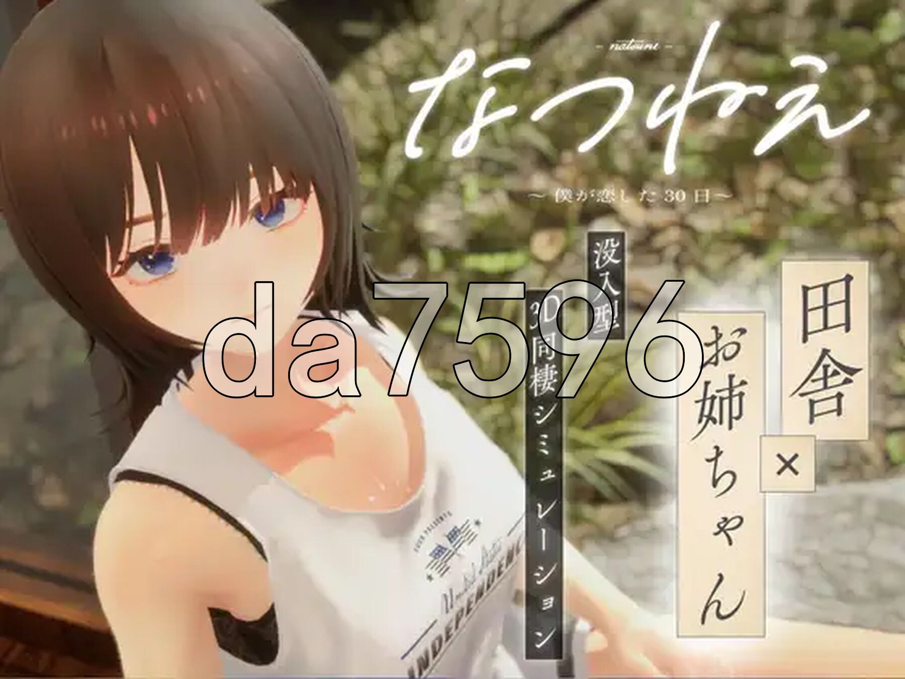 夏姐姐 ～我恋爱的30天～ なつねえ ～僕が恋した30日～ 内嵌AI汉化版 去码版+服装存档 PC端 AI汉化更新版 预览图