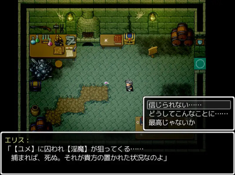 魅魔枪戏 魅魔銃戯 STEAM官中版 PC端 预览图