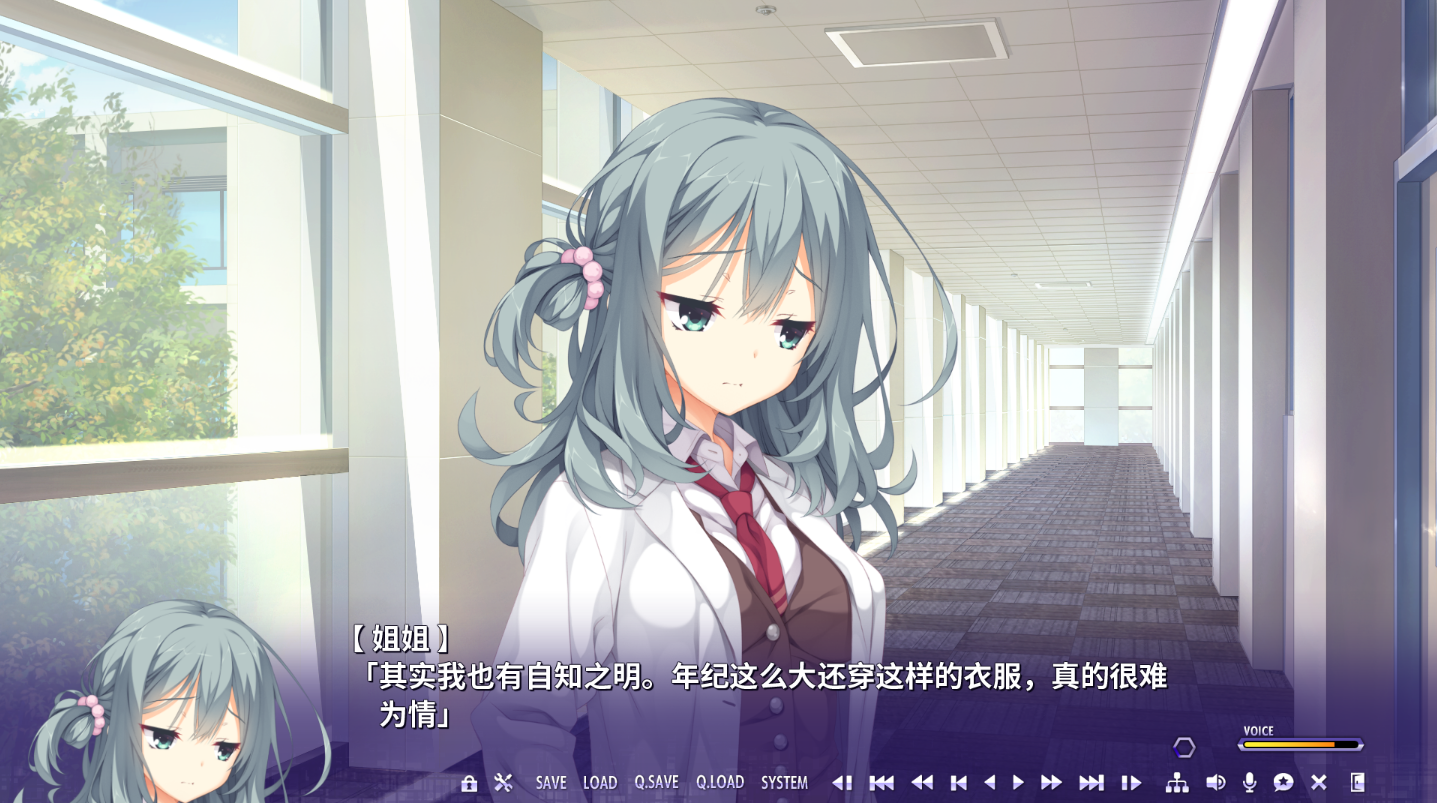 谜语小丑 RIDDLE JOKER 官方中文版 PC端 官中版 预览图