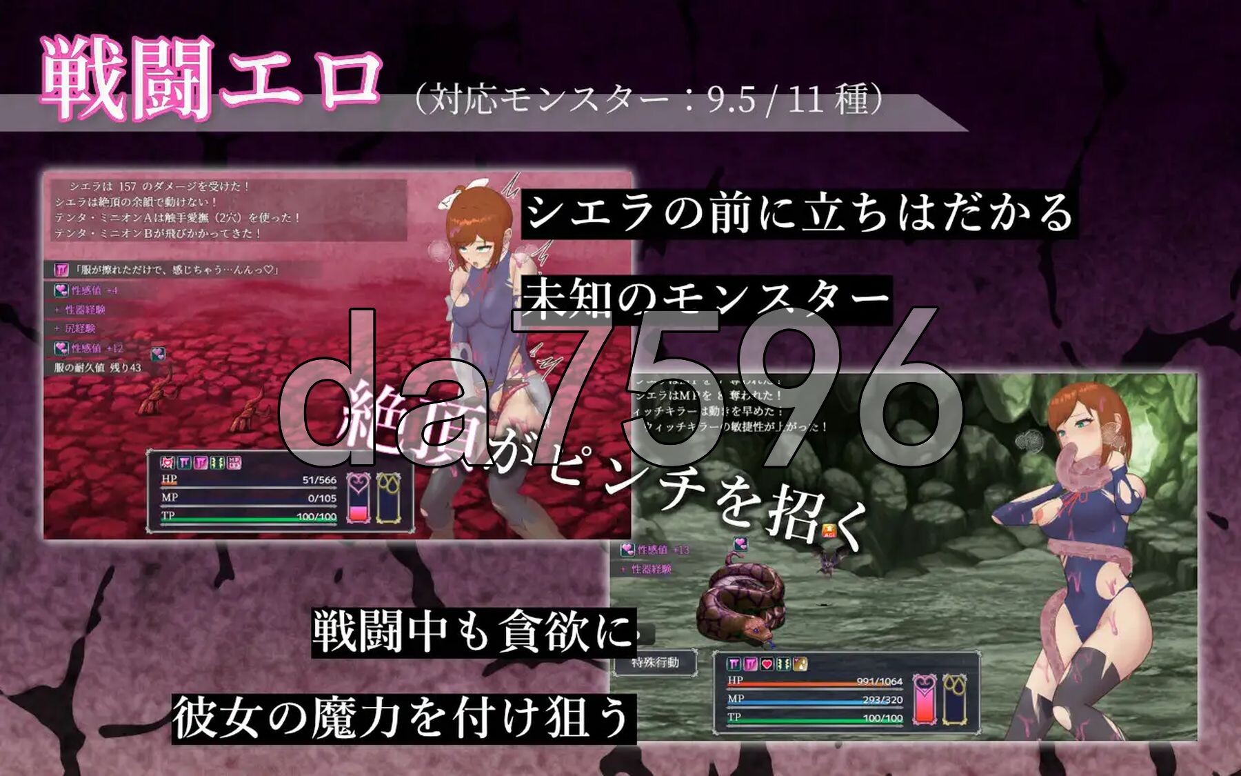 希艾拉的淫靡异变调查-女剑士独自沉沦 - シエラの淫らな異変調査-女剣士はソロでイク PC端 AI汉化完整版 预览图