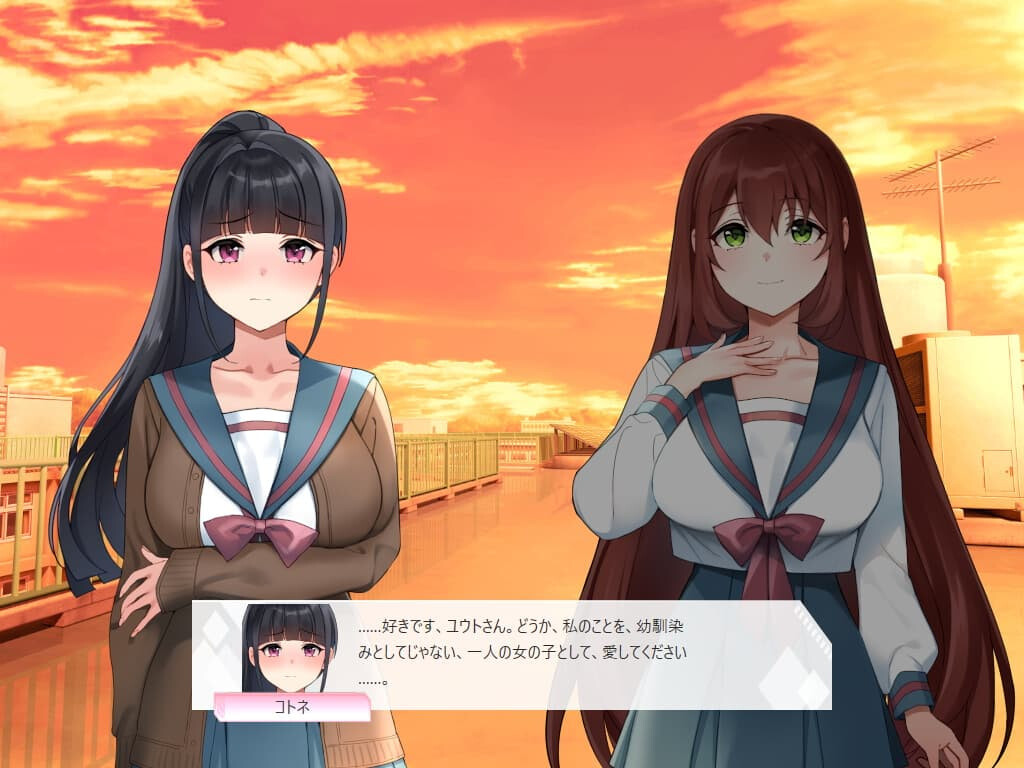 光辉的少女们～逐渐被黑暗浸染的羁绊 光輝なるメイデンス～暗黒に染まりゆく絆 PC端 汉化版 预览图