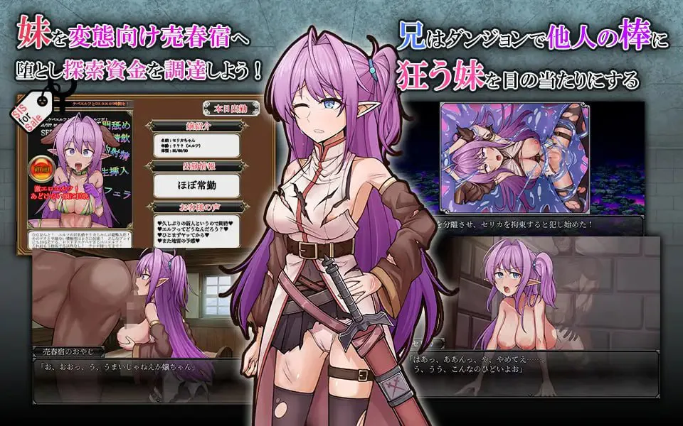 被情感波折的情绪波动精灵妹妹剑士塞莉卡/ネトラレ発情エルフ妹剣士セリカ PC端 汉化版 预览图