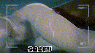 3D同人/全动态 Arbitary 小黄歌-HMV 女警夜 动漫视频 预览图