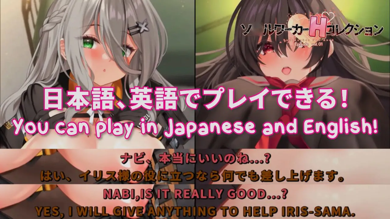ソルワーカーHコレクション PC端 日文原版 预览图