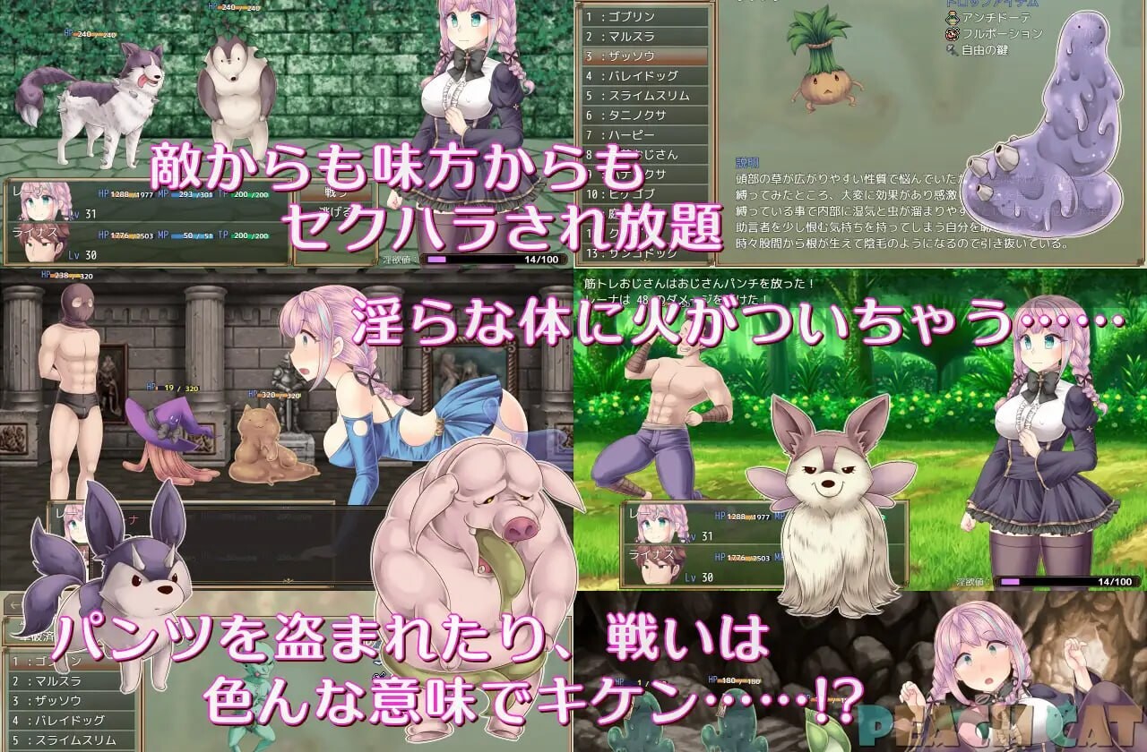 连续高潮 Sister Maiden 連続絶頂 Sister Maiden v1.0.0 PC端 汉化版 预览图