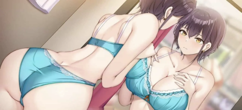 内衣社 LingerieS PC端 官中更新版 预览图