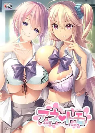 アネトモ 辣妹姐姐 姐姐的朋友 PC端 汉化完整版 预览图