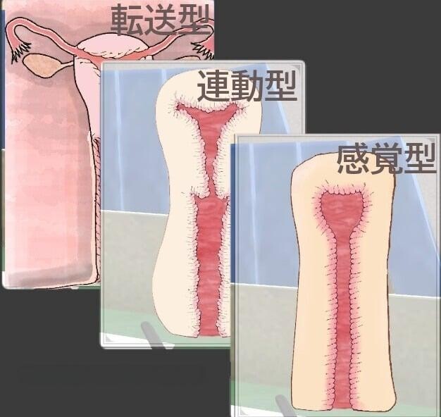 摸鱼狂远程奸 - 魔法的飞机杯模拟器 3D サボり魔遠隔姦- 魔法のオナホシミュレーター3D v1.3 PC端 官中版 预览图