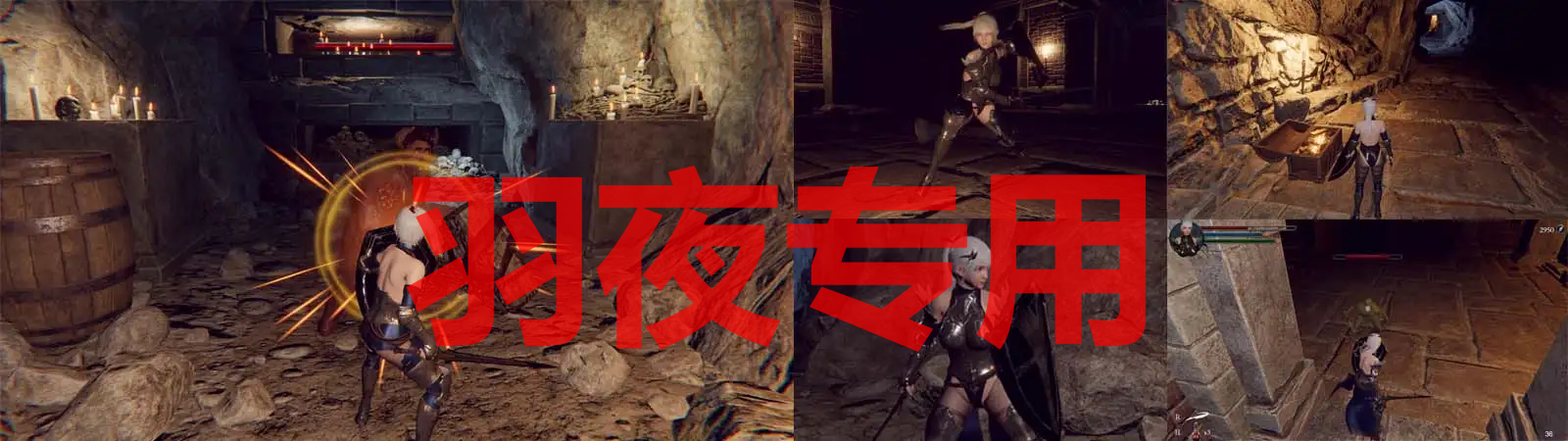 地下城の女騎士 PC端 官中更新版 预览图