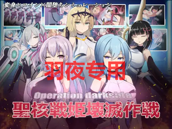 オペレーションダークサイド:聖核戦姫壊滅作戦 PC端 更新版 预览图