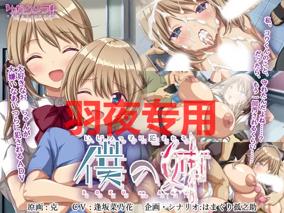 いじめっ子に冲突互动る僕の姉 PC端 更新版 预览图